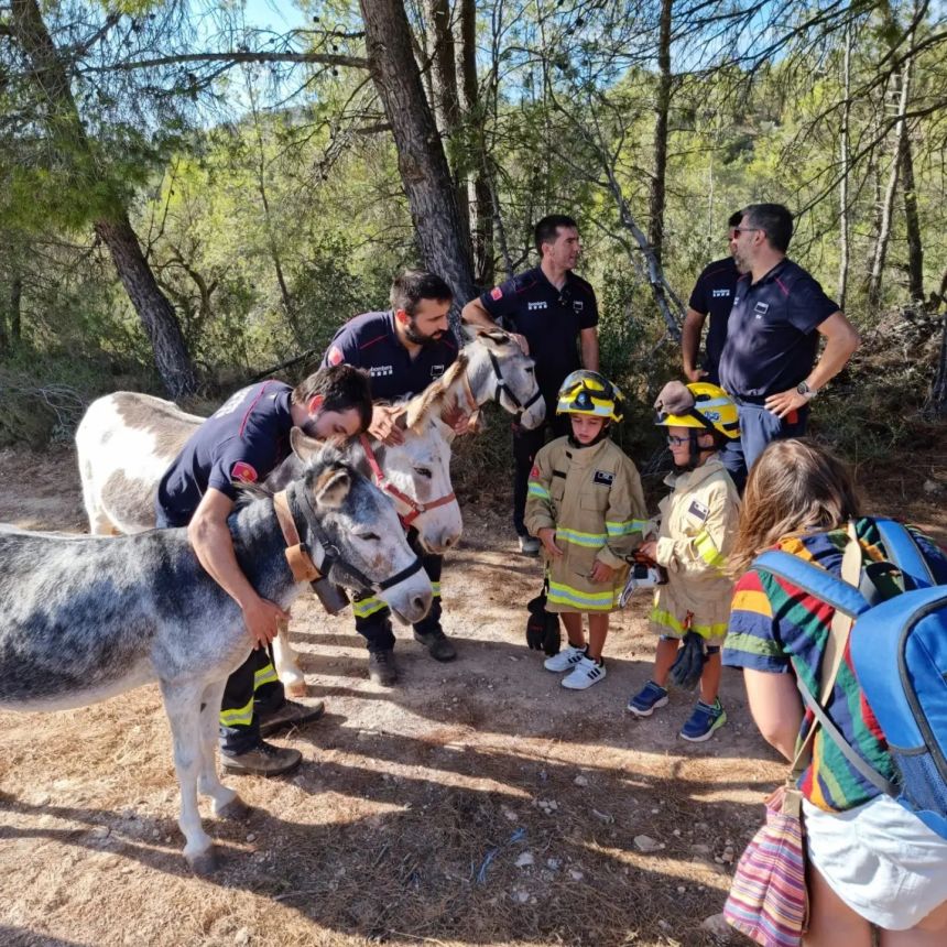 655207371-18092210971892971-5391218989407070075-n-1 Young visitors and firefighters from Catalonia's GRAF wildfire unit greet the Tivissa donkeys. The unit often trains on the same mountains and benefits from the herd keeping firebreaks clear.