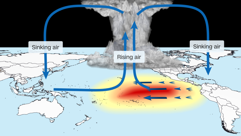 Air flows in set, loopy patterns (blue arrows) when El Niño influences the Walker Circulation.