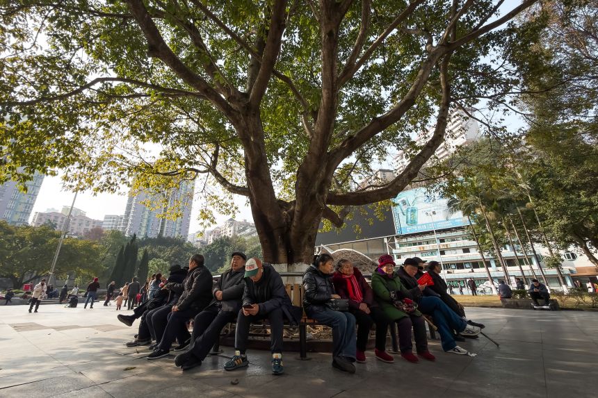 Elderly people sit on a circular bench surrounding a large tree in a public square, in Chongqing, China, on January 27, 2026.