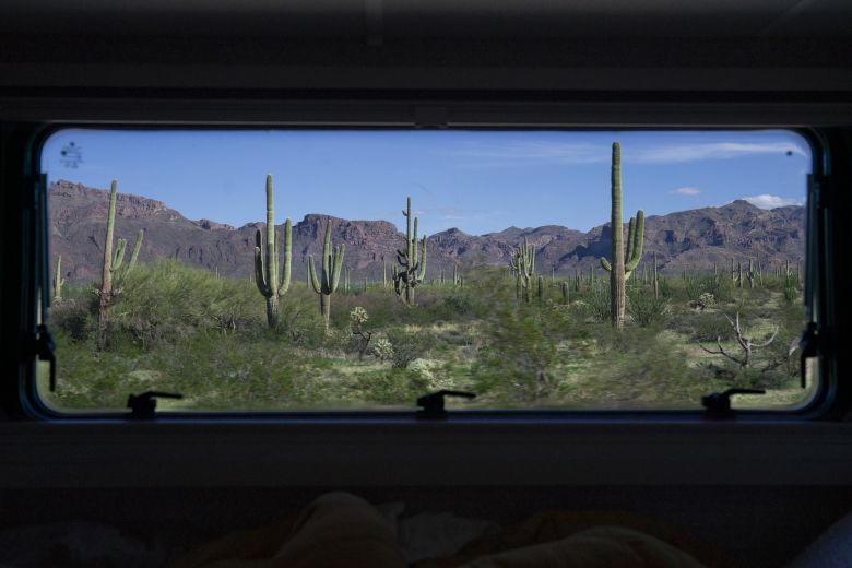 Near Organ Pipe Cactus National Monument, Arizona.